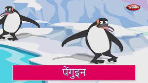 Matric intermediate diary cricket football ko hindi mein kya kehte hain 12. Penguin Rhyme In Hindi Hindi Rhymes For Kids à¤¹ à¤¦ à¤•à¤µ à¤¤ Bird Rhymes In Hindi Youtube