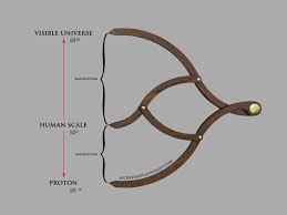 Biology is at Phi, the golden ratio (of size / scale), between the ...