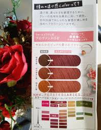 Review Liese Prettia Hair Color Provence Rose
