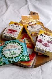 Gelatine Et Agar Agar Equivalence Et Utilisation Agar Agar Trucs Et Astuces Cuisine Desserts Au Fromage Cremeux