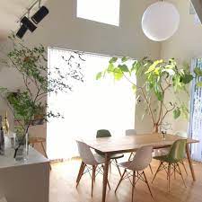 ダイニング 観葉植物 ナチュラル 吹き抜け 照明 などのインテリア実例 2017 06 05 08 21 14 roomclip ルームクリップ インテリア ダイニング 装飾のアイデア