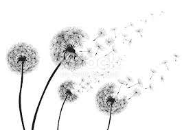 Abstract Dandelions Dandelion With Flying Seeds Vector Dandelion Painting Abstract Art Images Abstract