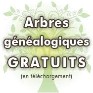 Modele Arbre Genealogique Vierge Gratuit A Imprimer