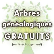 Grâce à ce modèle d'arbre 3 générations à imprimer (format pdf), notez vos parents et grands parents, frères et soeurs, oncles et tantes ! Modele Arbre Genealogique Vierge Gratuit A Imprimer