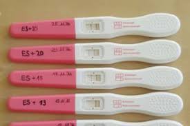 Zwei wochen nach der befruchtung liegt er bei 34 mlu/ml, nach drei wochen jedoch schon bei 260 mlu/ml. Presense Fruhtest Rosa Ab Es 11 Forum Kinderwunsch Urbia De
