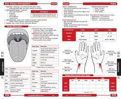 Acupuncture Tcm Prohealthsys Tcm Traditional Chinese Medicine Acupuncture Traditional Chinese Medicine