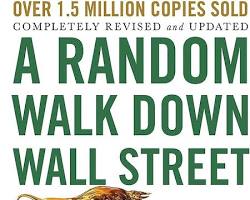 Random Walk Down Wall Street by Burton Malkiel book