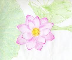 Screech of ice series 42 (abstract drawing) colored pencil and graphite on plastic paper. Drawing Simple Hibiscus Flower Drawing Color