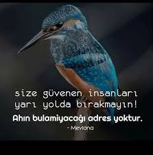 Mevlana Corekotuyagi Notitle Meaningful Words Sufi Beautiful Nature Wallpaper