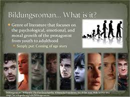 Bildungsroman is a genre of novel that shows a young protagonist's journey from childhood to adulthood (or immaturity to maturity), with a focus on the trials and misfortunes that affect the character's growth. Bildungsroman Sample