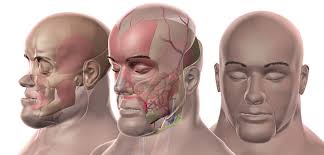 Cleveland Clinic's second-ever face transplant signals new life for  patient, hope for medical advancements