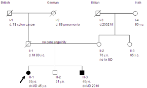 Instructions On How To Draw A Pedigree Iowa Institute Of