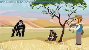 Pinterest • the world's catalog of ideas. Charles Darwin S Contribution To Psychology Video Lesson Transcript Study Com