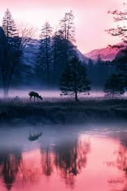 صور خلفيات hd متنوعة 2020 خلفيات طبيعية 2020 صور خلفيات جميلة. ÙˆØ±ÙˆØ¯ Ø§ÙŠÙÙˆÙ† Ø®Ù„ÙÙŠØ§Øª Ø·Ø¨ÙŠØ¹Ø© Atomussekkai Blogspot Com