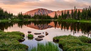 Fundraiser for Sarah Windley by Madison Edwards : Step Up For Sarah!