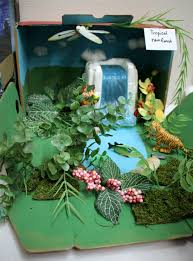Biome In A Box Tropical Rainforest This Is A Fourth Grade Biome Project Representing The Tropical Rainforest This Biome Is Only Found On 6 To In 2020 Rainforest Project Biomes Project Weather Projects