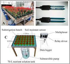 Scielo Brasil Subirrigation Automated By Capacitance Sensors For Salvia Production Subirrigation Automated By Capacitance Sensors For Salvia Production