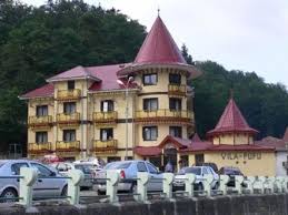 Statiunea balneoclimaterica slanic moldova denumita si perla moldovei este recunoscuta datorita prezentei a celor 20 de izvoare de ape minerale carbogazoase dar si a. Book At Vila Pufu Slanic Moldova Romania Accommodation