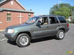 Image result for Onyx Green 2002 Durango