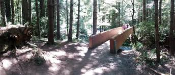 More than 200 laws related to the environment were passed during the johnson administration, many of which were influenced by mrs. Wikiloc Picture Of Lady Bird Johnson Grove Trail Redwood National Park 1 6