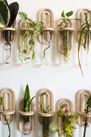 Pin On Garden Ideas