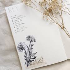 Bullet Journal Index Bullet Journal Table Of Contents Floral Drawings Bullet Journal Table Of Contents Bullet Journal Index Bullet Journal Contents