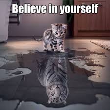 Marcus Trens Absolutewords Cute Animals Animals Pets