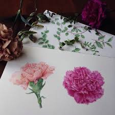 Carnation And Leaves For The Parts Of Collage Design Botanicalart Watercolor Watercolour Carnation Tattoo Botanical Art Watercolor Flowers
