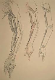 Pin By Celin On Drawing References Human Anatomy Drawing Anatomy Sketches Human Anatomy Art