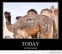 What is sweet and walks across a desert? Camel Puns