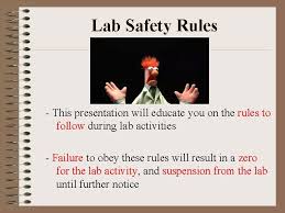 Food or drink is not permitted at any time in the laboratory. Lab Safety Rules Guide Lab Safety Rules This