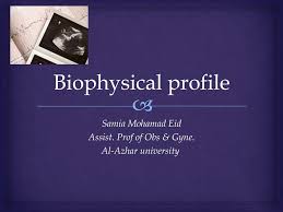 Image result for Biophysical Profile