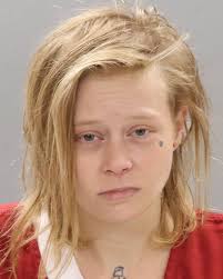 Vandervort, Lisa Renee Mugshot