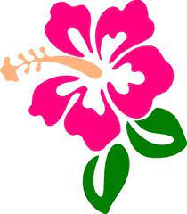 Image Result For Hibiscus Flower Svg For Cricut Free Fonts Hibiscus Clip Art Hibiscus Drawing Hibiscus