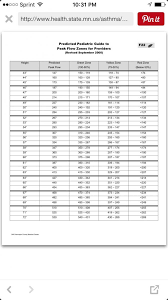 Asthma Peak Flow Meter Chart Template Readings Adults Check