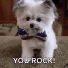 Used at the right time, a gif paints a thousand words. You Are Awesome Gifs Tenor
