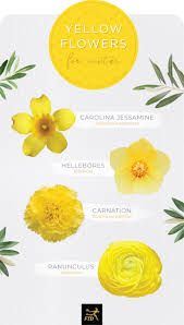 There are about 141 genera of orchids representing about 1,100 orchid species, 900 of which are described as endemic to the philippines. 30 Types Of Yellow Flowers Ftd Com