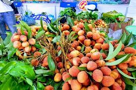 Ngăn chặng kịp thời các lô hàng cấm xuất hoặc cấm nhập khẩu được di chuyển qua khỏi biên giới. Ä'Æ°á»ng Ä'i Cá»§a Váº£i Thiá»u Báº¯c Giang Sang Trung Quá»'c Trong Ä'iá»u Kiá»‡n Covid 19 Tin Tá»©c Má»›i Nháº¥t 24h Ä'á»c Bao Lao Ä'á»™ng Online Laodong Vn