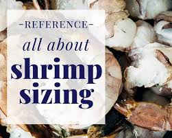 Shrimp Sizes And Counts Per Pound Striped Spatula