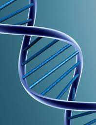 BIOTECNOLOGIA