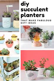Before i get too far ahead of myself, i want you to know, i've taken to heart the things that i learned and shared with you about taking care of succulents. 30 Gorgeous Diy Succulent Planters You Need To Make