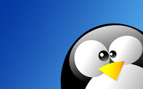 Linux Tux In Blue Wallpaper Zoo Linux Linux Mint Penguin Wallpaper