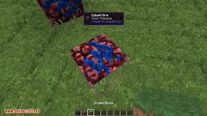 Most have them built in plus a bunch of other things. Advanced Xray Mod 1 17 1 1 16 5 Higher Level Of Xray 9minecraft Net