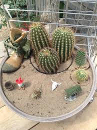 Each fairy breath of summer, as it blows with loveliness, inspires the blushing rose. Fairy Garden Desert Cowboy Theme Items Found In This Picture Can Be Found On Our Website Cedarcreekgardens Fairy Garden Miniature Fairy Gardens Mini Garden