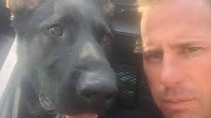 Cranston police to pay last respects to K-9 Blesk