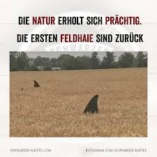 Schwarzer Kaffee Schwarzer Kaffee Humor Lustig Urkomische Zitate