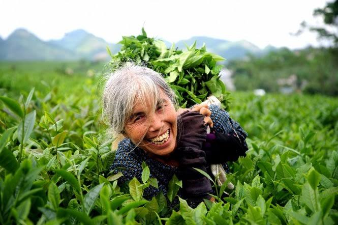 Nụ cười xanh - Tuổi Trẻ Online