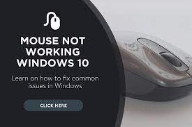 You should check if the scroll button is actually working or not, just by plugging it to an another computer. Mouse Not Working Windows 10 Most Effective Solutions