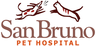 Check spelling or type a new query. San Bruno Veterinarian Dr Erica Chiu San Bruno Pet Hospital