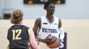Последние твиты от little boomers basketball (@littleboomers). Daniels Okwera And Ryan To Debut For Australian Boomers Basketball Victoria